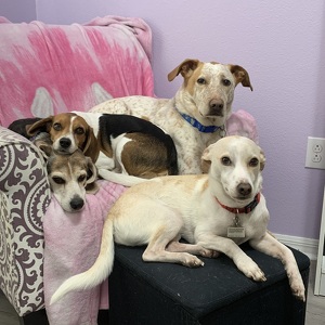 Fundraising Page: Katie Christiansen